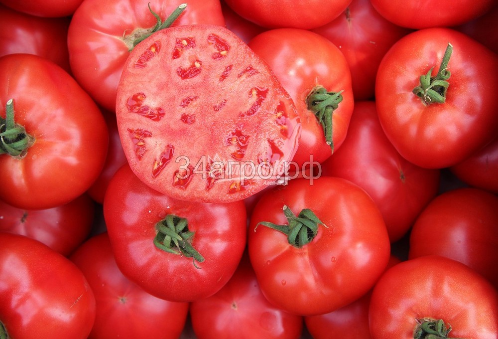 Томат Афен F1 1000 семян