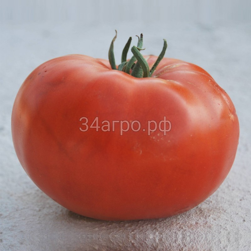 Томат Чудо Рынка 50 гр.